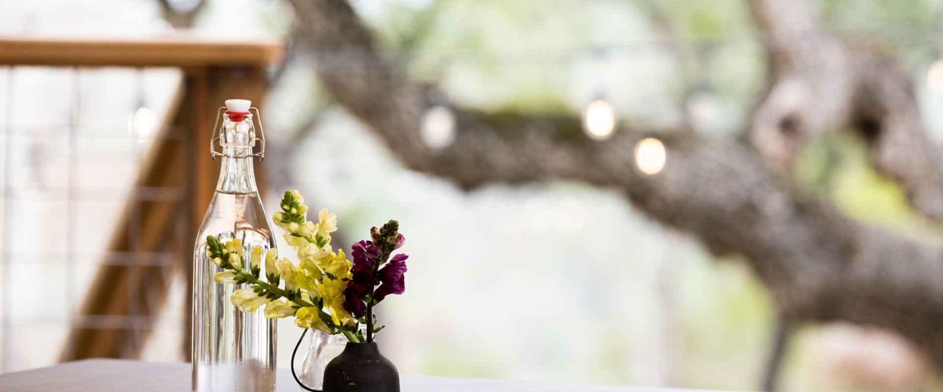 Discovering the Hidden Treasures of Williamson County, TX