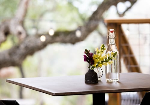 Discovering the Hidden Treasures of Williamson County, TX